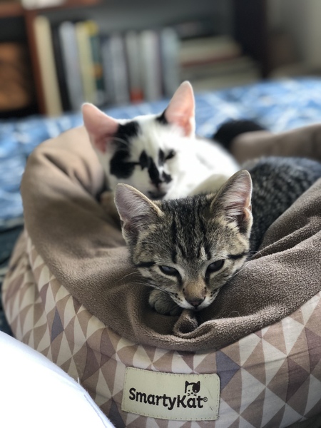 Entry image for Abbee and Thumann. Clicking this image will show a larger photo