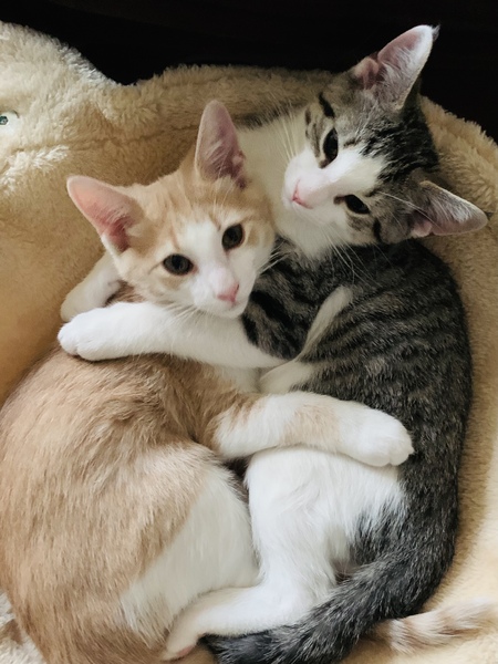 Entry image for Sonny & Phil. Clicking this image will show a larger photo