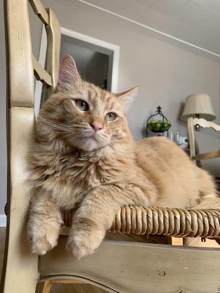 Entry image for Bobby. Clicking this image will show a larger photo