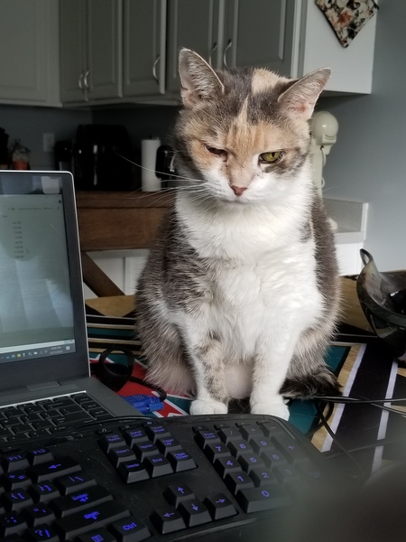 Entry image for Calle . Clicking this image will show a larger photo