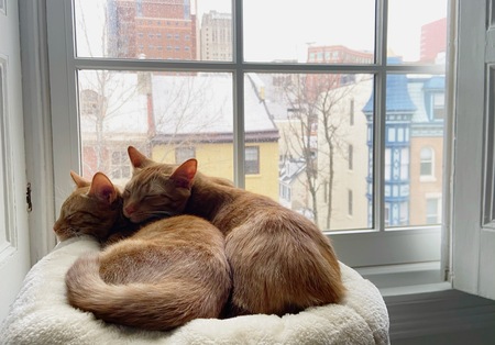 Entry image for Molly and Arthur. Clicking this image will show a larger photo