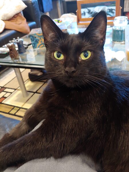 Entry image for Evening. Clicking this image will show a larger photo