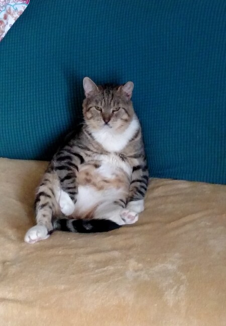 Entry image for Big Bob. Clicking this image will show a larger photo