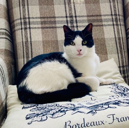 Entry image for Elouise . Clicking this image will show a larger photo