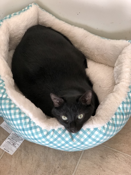 Entry image for Art (Arthur). Clicking this image will show a larger photo