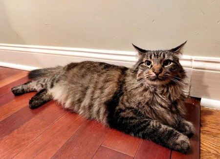 Entry image for Growley. Clicking this image will show a larger photo