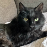 Entry image for Milagro