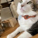 Entry image for Mannie & Riot