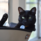 Entry image for Bernadette (Bernie) Harriet Chenoweth