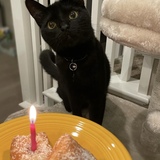 Entry image for Beignet