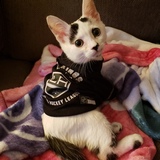 Entry image for Nike