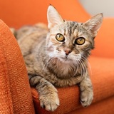 Entry image for Bun Bun - photo by Erica Danger