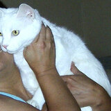 Entry image for Midgeygirl