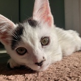 Entry image for Nike