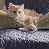 Entry image for Monty