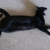 Entry image for Riesling