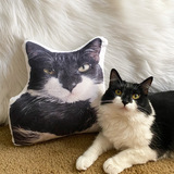 Entry image for Cassey