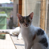 Entry image for Maggie