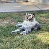 Entry image for Pretty Lady