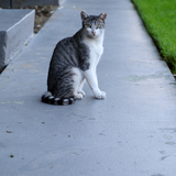 Entry image for Spiral