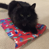 Entry image for Shadow