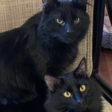 Entry image for Duncan and Dusty