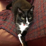 Entry image for Muji