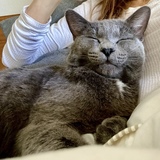 Entry image for Nacho (previously Thomas)