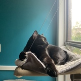 Entry image for Westley the Dread Pirate Roberts