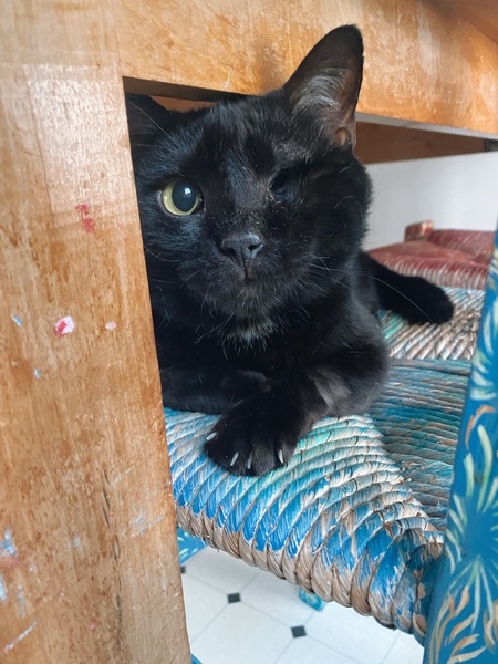 Entry image for Lyndon. Clicking this image will show a larger photo