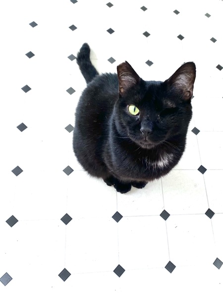 Entry image for Lyndon. Clicking this image will show a larger photo