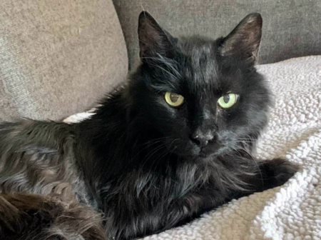 Entry image for Milagro. Clicking this image will show a larger photo