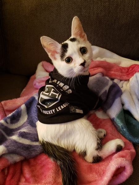 Entry image for Nike. Clicking this image will show a larger photo