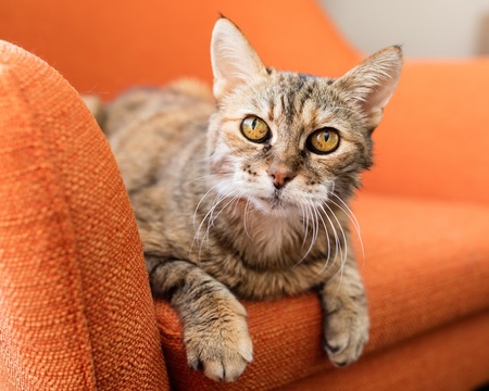 Entry image for Bun Bun - photo by Erica Danger. Clicking this image will show a larger photo