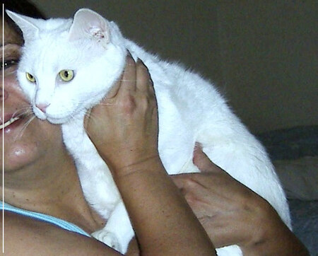 Entry image for Midgeygirl. Clicking this image will show a larger photo