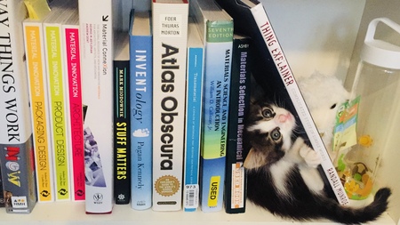 Entry image for Taz. Clicking this image will show a larger photo