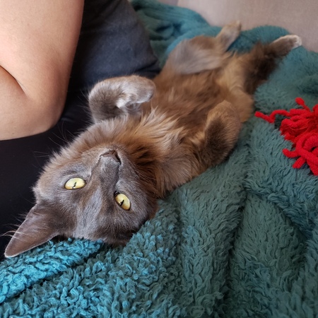 Entry image for Winnie. Clicking this image will show a larger photo