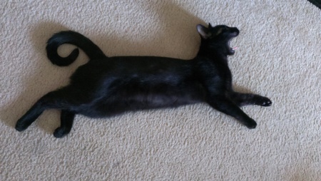 Entry image for Riesling. Clicking this image will show a larger photo