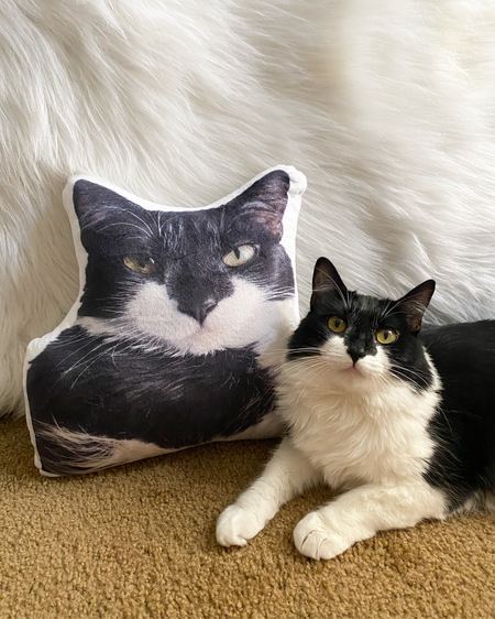 Entry image for Cassey. Clicking this image will show a larger photo