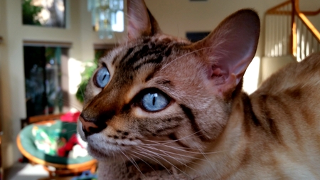 Entry image for Luchi. Clicking this image will show a larger photo