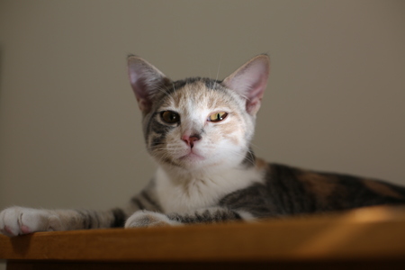 Entry image for Tuesday. Clicking this image will show a larger photo