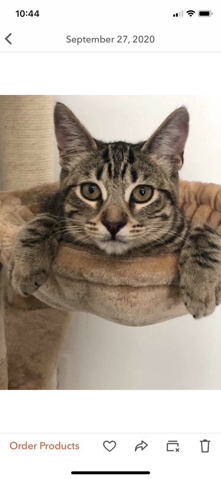 Entry image for Max. Clicking this image will show a larger photo