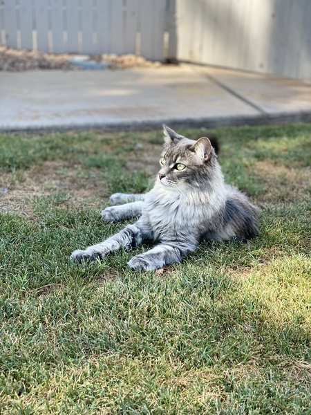 Entry image for Pretty Lady. Clicking this image will show a larger photo