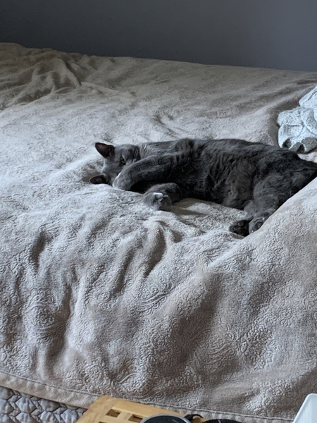 Entry image for Zoé . Clicking this image will show a larger photo