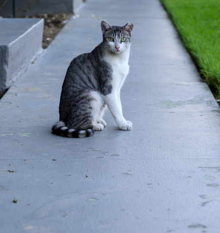 Entry image for Spiral. Clicking this image will show a larger photo