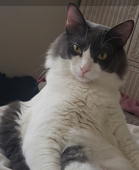 Entry image for Harrison. Clicking this image will show a larger photo