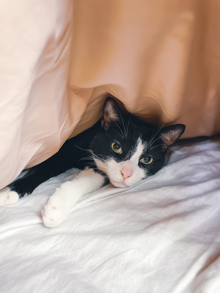 Entry image for Charles. Clicking this image will show a larger photo