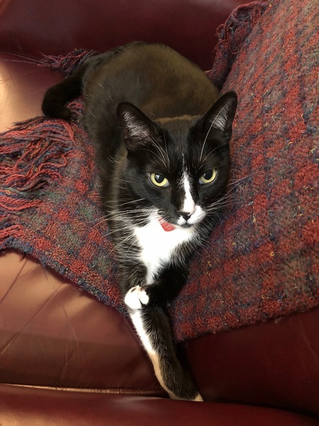 Entry image for Muji. Clicking this image will show a larger photo