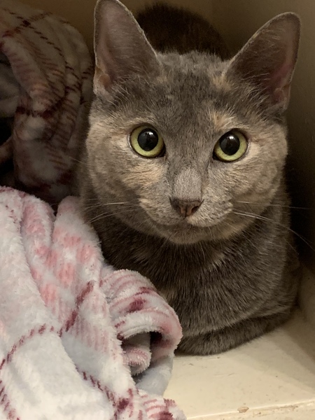 Entry image for Momma Daisy💜🌼. Clicking this image will show a larger photo