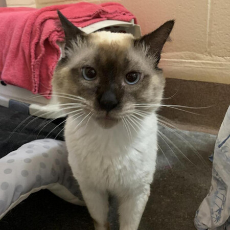 Entry image for Bentley . Clicking this image will show a larger photo